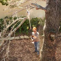 Stihl HTA50 Cordless Pole Pruner -Garden Supplies Sales Store 1 0002 3 c8153f0d 0404 4f4c 96f5 4a3152902d4f