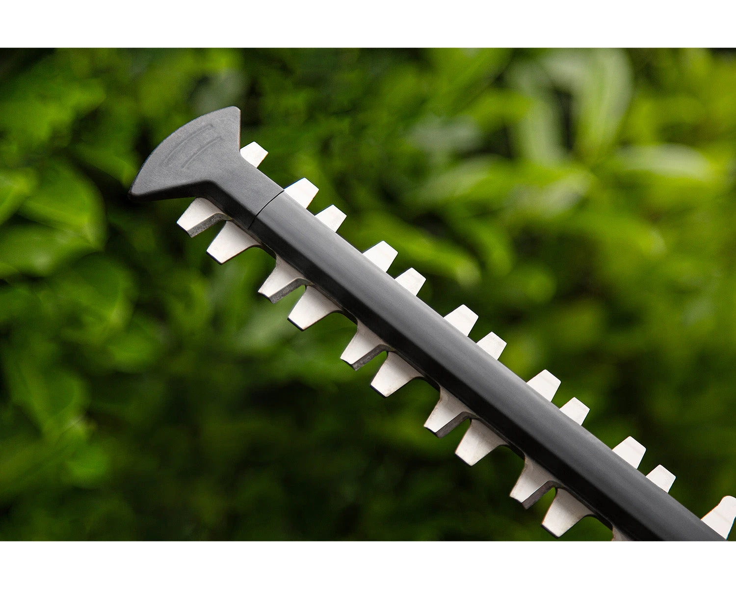 Honda HHH36BXB Cordless Hedge Trimmer 6 Honda HHH36BXB Cordless Hedge Trimmer - Image 6