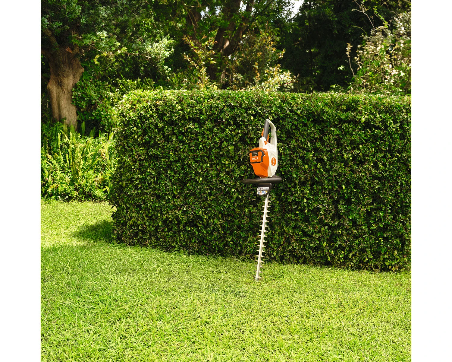 Stihl HSA50 Cordless Hedgetrimmer Set 6 Stihl HSA50 Cordless Hedgetrimmer Set - Image 6
